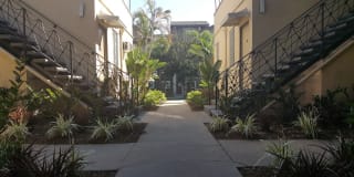 South Olive Gallery 13