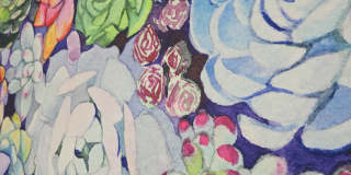 4812 Spring Meadow Cove Gallery 17