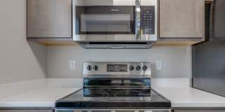 Olympus at Ten Mile Gallery 21