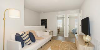 Coral Palms at Oakleaf Gallery 11