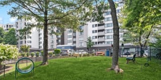 Arrive Alexandria Gallery 21