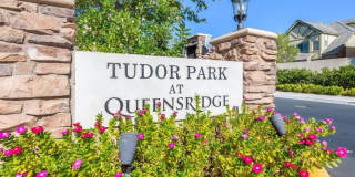 9161 Tudor Park Place Gallery 41