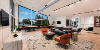 Fox & Hounds Gallery 4