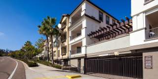 Elán Pacifico Gallery 1