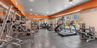 Broadstone Ambrose Gallery 13