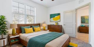 Talcott at Windermere Gallery 5