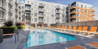 Blue and Lime Gallery 11