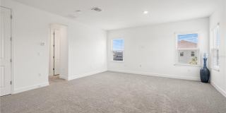 33875 CASTAWAY Loop Gallery 58