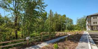 Alder Creek Gallery 11