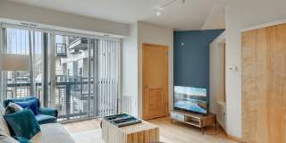 Blue and Lime Gallery 4