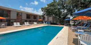 Autumn Chase Gallery 5