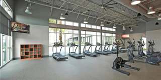 8451 Karrer Terrace Gallery 34