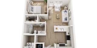 The Belle at the Lamar Gallery 2