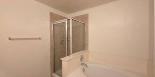 3907 Paradiso Loop Gallery 19