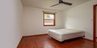 Newly Updated Single Level Home Available Now! Gallery 14