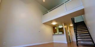 Marlene Renee Gallery 1