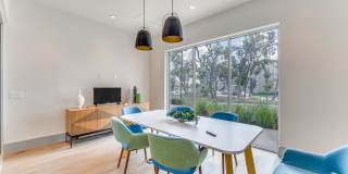 Palo Verde Gallery 19