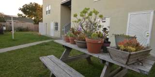 The Patricia Apartments  - the most elegant apartments in Richmond Gallery 87