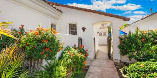 79325 Toronja Gallery 4