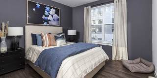 Alta Federal Hill Gallery 5