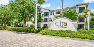 Citra at Windermere Gallery 46