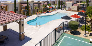 Sonoma Palms Gallery 24