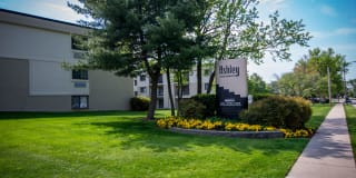 Ashley Apartments Gallery 4