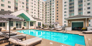 The Cosmopolitan Apartments Gallery 12