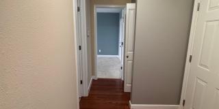 5630 PERSHING AVE #36 | SAINT LOUIS 63112 Gallery 15