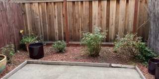 36875 Sycamore Street Gallery 11