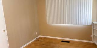 Beautiful 4 Bedroom Home in Hyder Park Gallery 20
