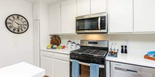 The Terrace Apartments Gallery 58