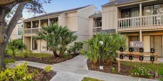 2224 BAHIA VISTA STREET Gallery 34