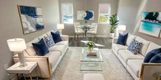 Park Raven Gallery 1