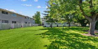 Sugar Pine Gallery 31