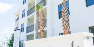 Olea eTown Gallery 38