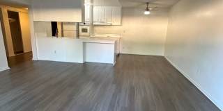 Spacious 2 Bed / 2 Bath with Large Balcony – Pet Friendly! Gallery 5