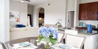 Palazzo at Cypresswood Gallery 2