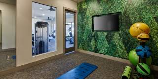 Emerson at Red Oak Gallery 13