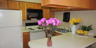 Sommerset Apartments Gallery 24