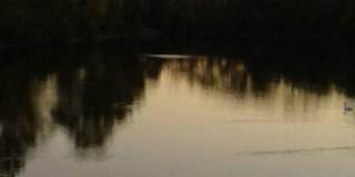 Lakeside at Walnut Hills Gallery 25