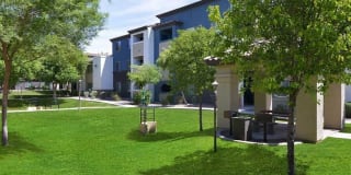 Bella Mirage Gallery 21