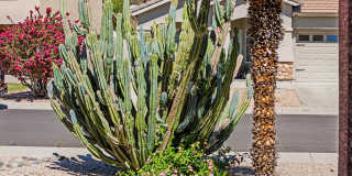 8373 W Mary Ann Drive Gallery 1