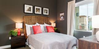 Altura Gallery 13