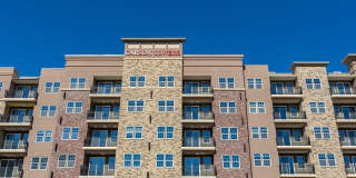 Carson Street Towers Gallery 24