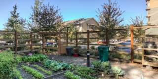 Discovery Heights Discovery Heights Gallery 30