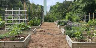 Lexington Farms Gallery 28