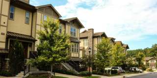 Cosgrove Hill Gallery 26