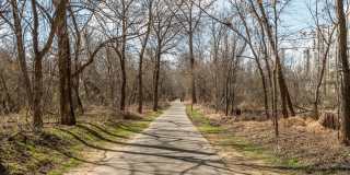 **RENT INCENTIVE!!** Freshly Updated 2BR/2BA Condo - Minutes to North Hills Gallery 23