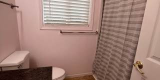 3-Bedroom 1 1/2 bathroom home in Springfield Gallery 9
